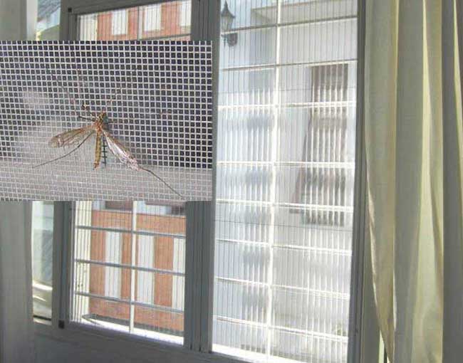 mẫu cửa lưới chống muỗi tự cuốn